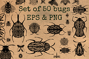 Bugs - set of PNG & EPS images, an Object Graphic by saturday.sketch (Thumbnail 2 of 6)