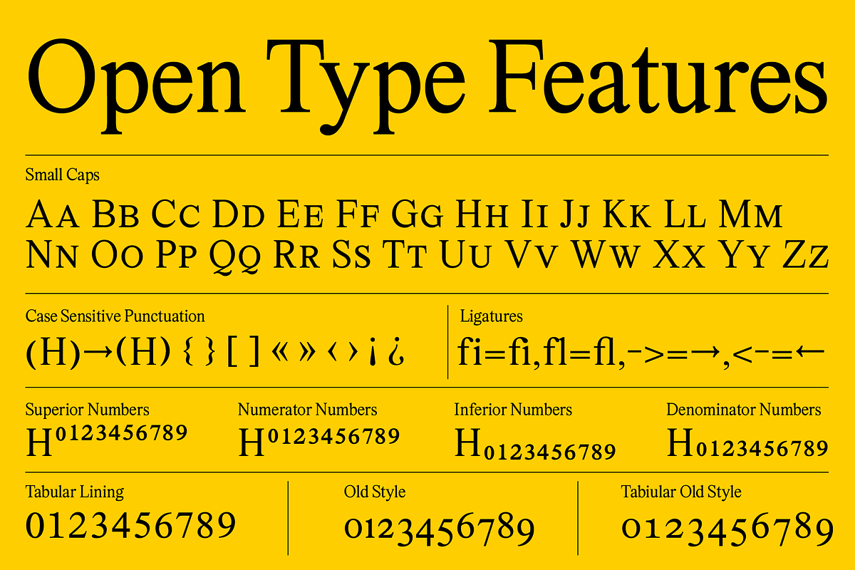 Marjorie Variable Serif + Italics, a Font by That That Creative (Photo 7 of 14)
