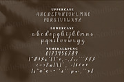 Writta Script Fonts, a Script Font by mahstudios (Thumbnail 13 of 15)