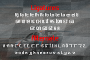 Champion Athletic - Sport Font, a Sans Serif Font by Brown Cupple (Thumbnail 11 of 11)