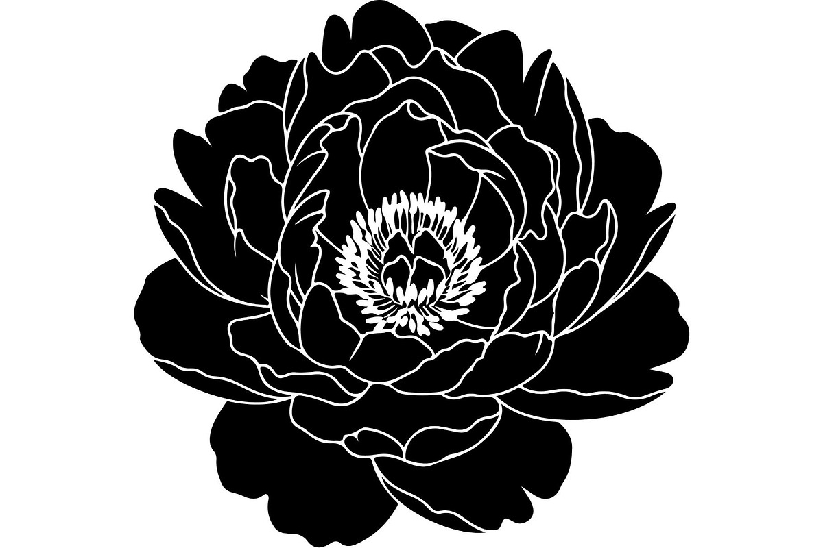 Peony Flower Silhouette, an Object Graphic by Designer_Momina (Photo 17 of 18)