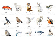 Arctic Animals Adventure, an Animal Illustration by BrushstrokeArtGB (Thumbnail 2 of 9)