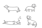 Cute doodle dogs (big collection), an Animal Illustration by Liz Pengilley Studio (Thumbnail 8 of 23)