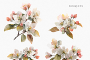 Watercolor Apple Blossom Bouquet, a Decorative Illustration by ThaismotaCreativeCo (Thumbnail 3 of 11)