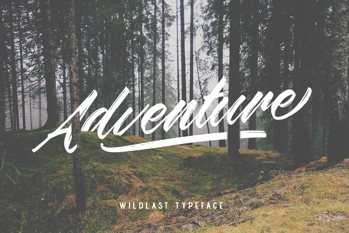 Wildlast Handbrush Typeface preview 7
