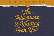 The Bariyet + Extras, a Script Font by IronbirdCreative (Thumbnail 8 of 11)