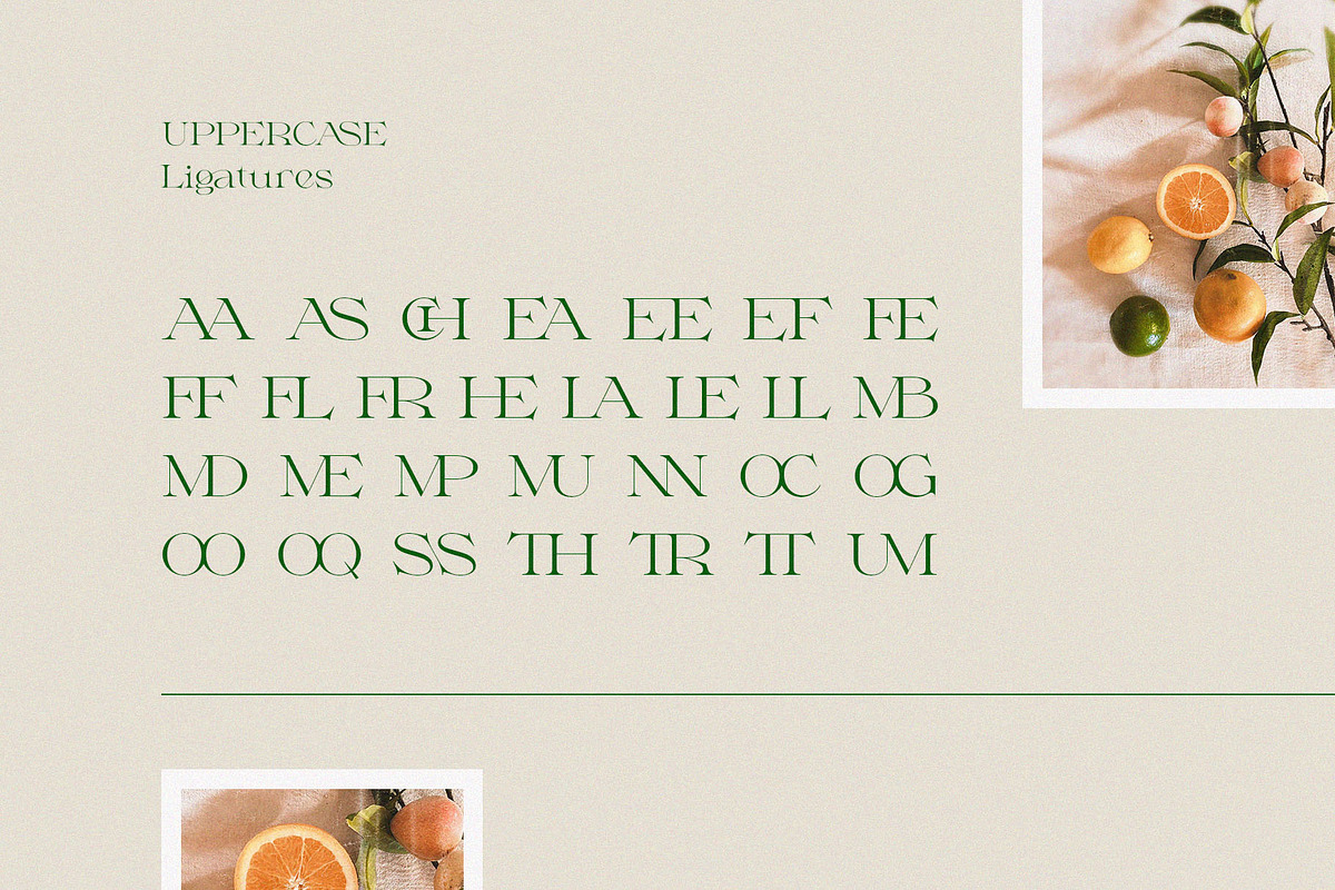 Milssky || Modern & Classy Ligature, a Serif Font by BrandSemut (Photo 15 of 16)