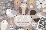 Owls, a Background Graphic by AnnieArt (Thumbnail 1 of 9)