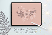 Procreate Botanical Stamps Bundle, a Brush Add-On by Little Nordic Atelier (Thumbnail 4 of 13)
