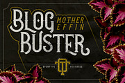Vintage Font Bundle | 49 Fonts in 1, a Sans Serif Font by Twicolabs Fontdation (Thumbnail 9 of 17)