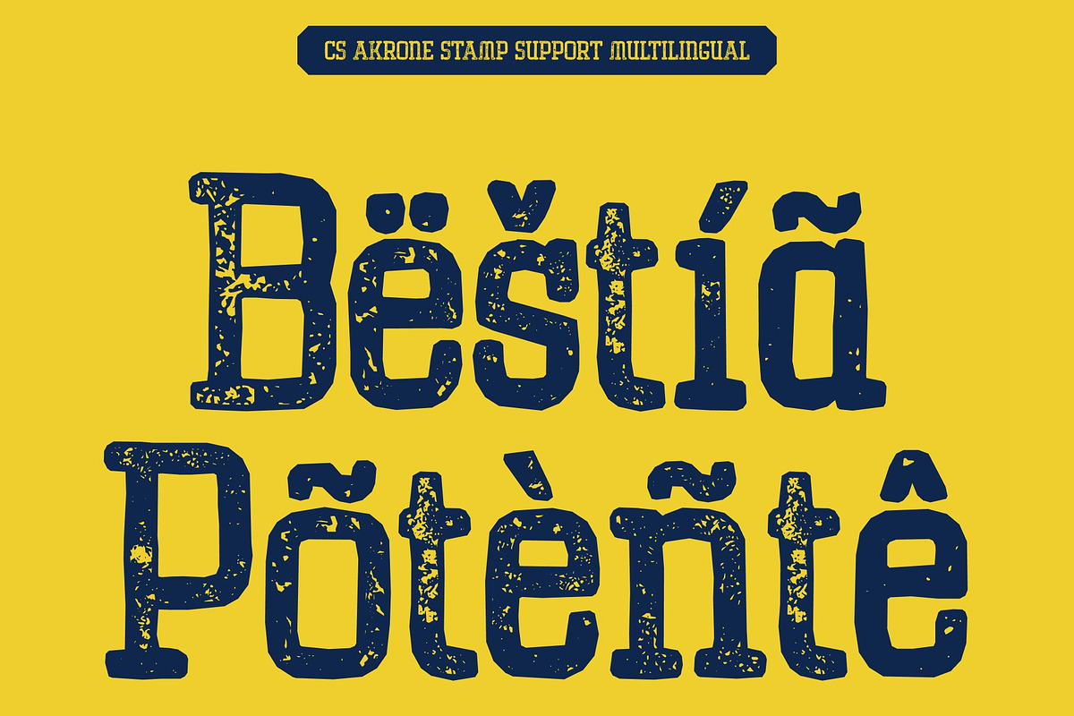 CS Akrone Stamp, a Slab Serif Font by Craft Supply Co. (Photo 7 of 8)