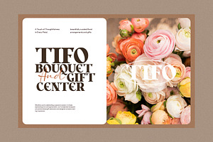 Vacilo Vintage Serif Font