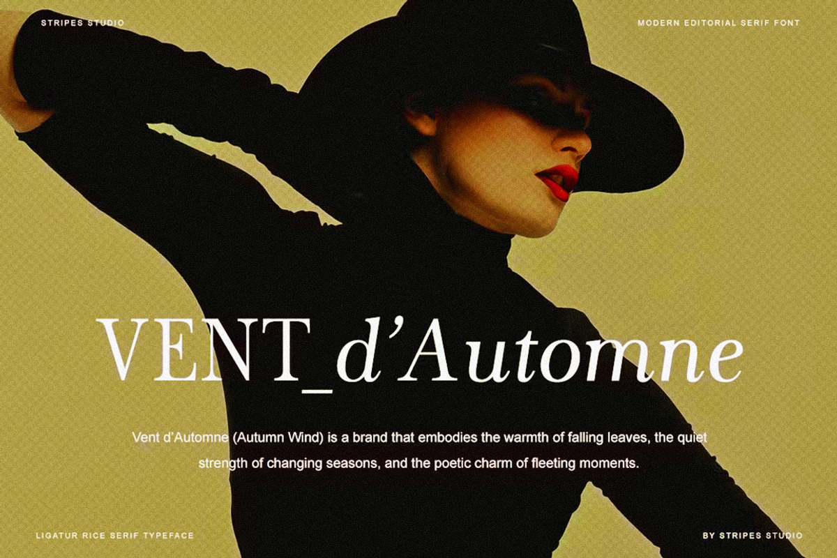 The Stripes Editorial + Italics, a Serif Font by Stripes Studio (Photo 2 of 23)