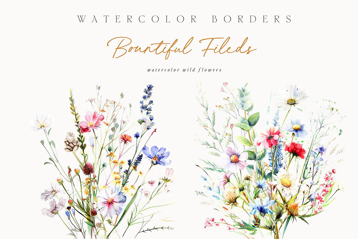 New! Wild Flowers Edition, a Seasonal Illustration by Isabelle Salem (Photo 23 of 155)