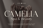 Venesia - A Modern Serif Font, a Serif Font by Marvadesign (Thumbnail 3 of 5)