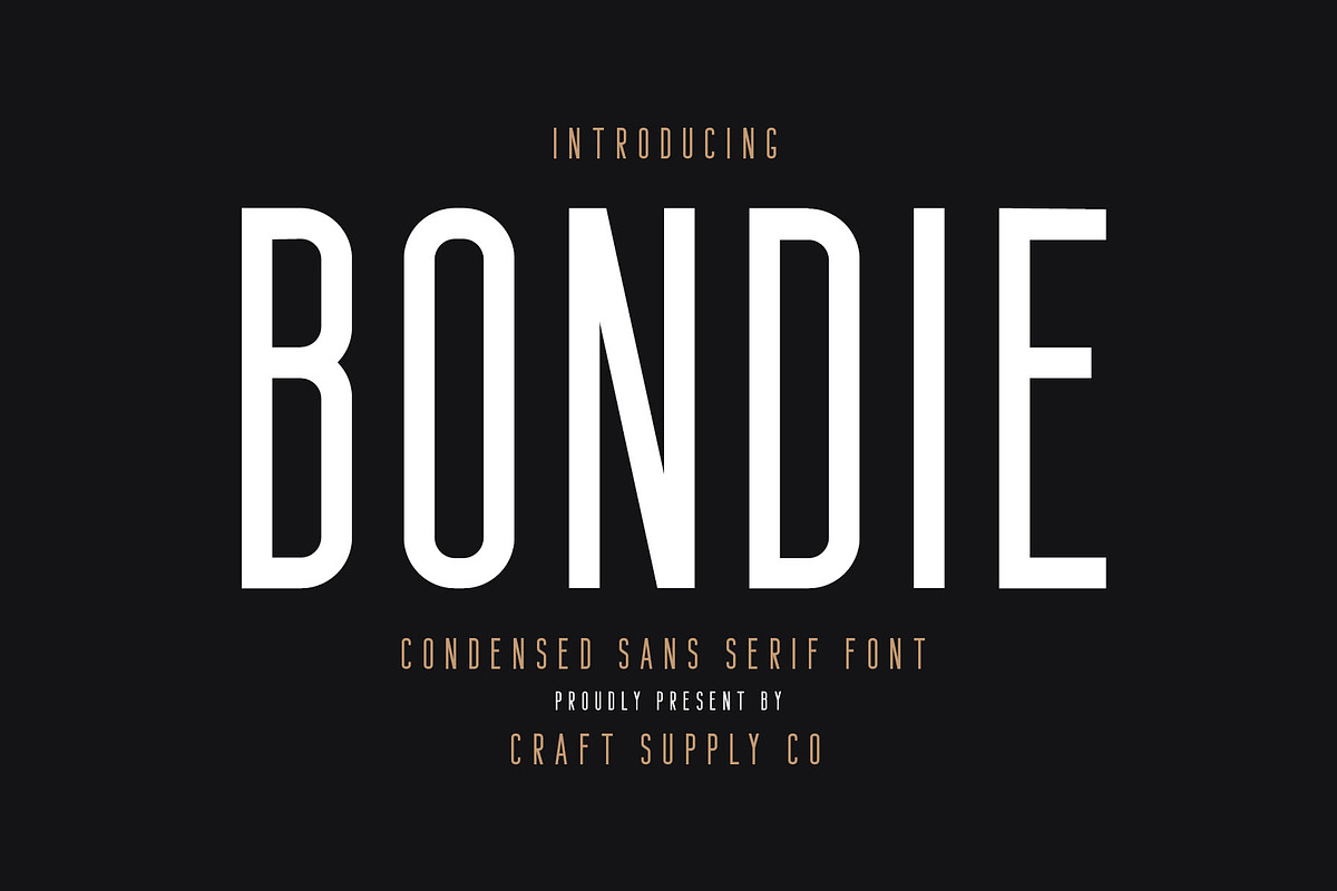 Bondie - Condensed Sans Serif, a Sans Serif Font by Craft Supply Co. (Photo 11 of 11)