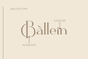Ballein feminine serif font, a Serif Font by suhadidesign (Thumbnail 7 of 12)