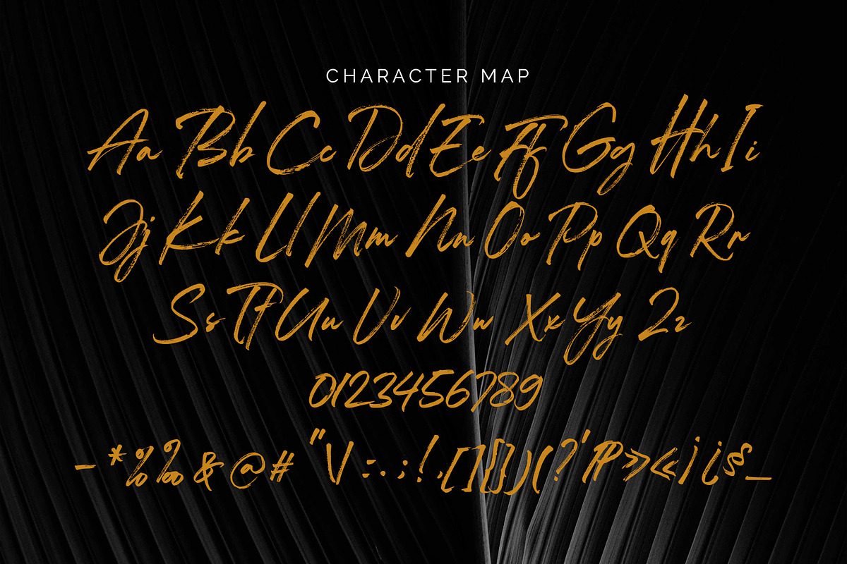 Charlietta de Angela - Brush Script, a Script Font by Almarkhatype (Photo 8 of 10)