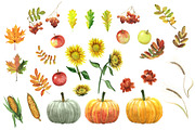 Autumn Harvest Collection, a Food Illustration by Sveta Aho (Thumbnail 3 of 3)