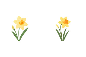 Bright yellow daffodils blooming in, a Nature Photo by ZinetroN