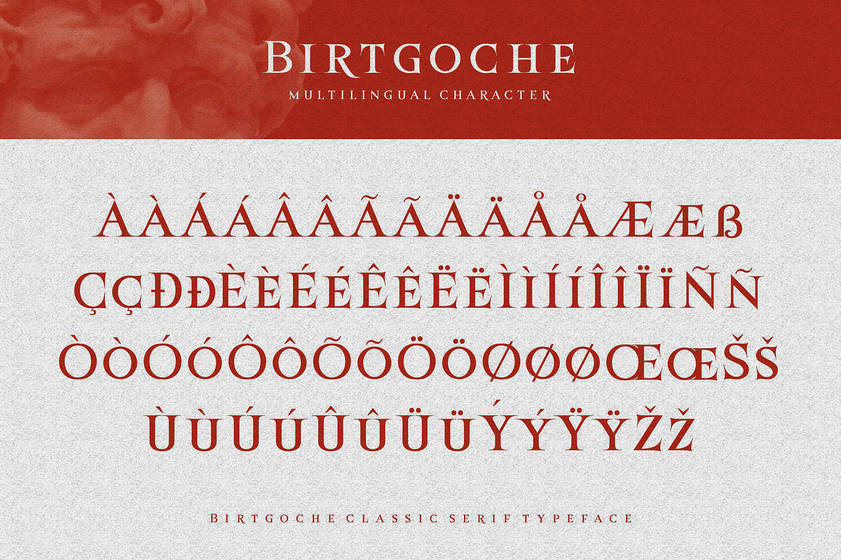 Birtgoche, a Serif Font by ilhamtaro (Photo 10 of 10)
