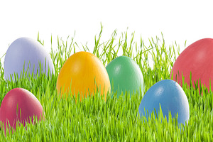Easter eggs in green grass isolated stock photo containing easter and egg