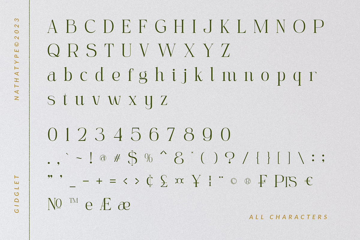 Gidglet, a Serif Font by Nathatype (Photo 7 of 10)