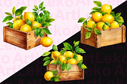 Lemons Watercolor Clipart, a Food Illustration by LekoArt (Thumbnail 6 of 10)