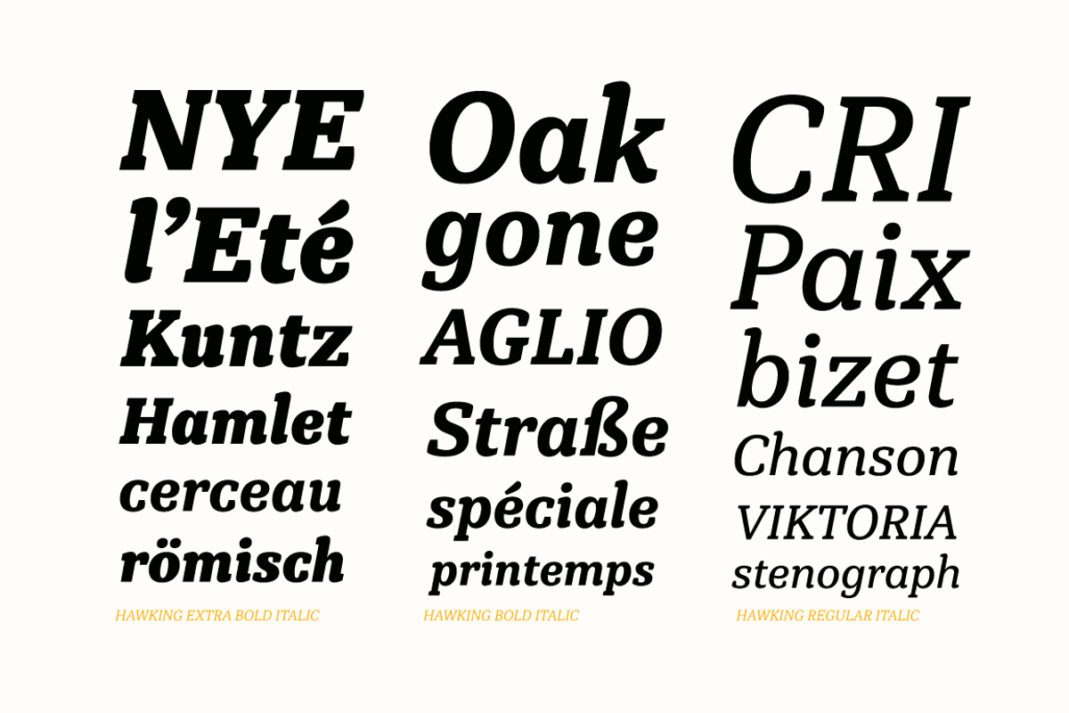 Hawking, a Slab Serif Font by Latinotype (Photo 11 of 11)