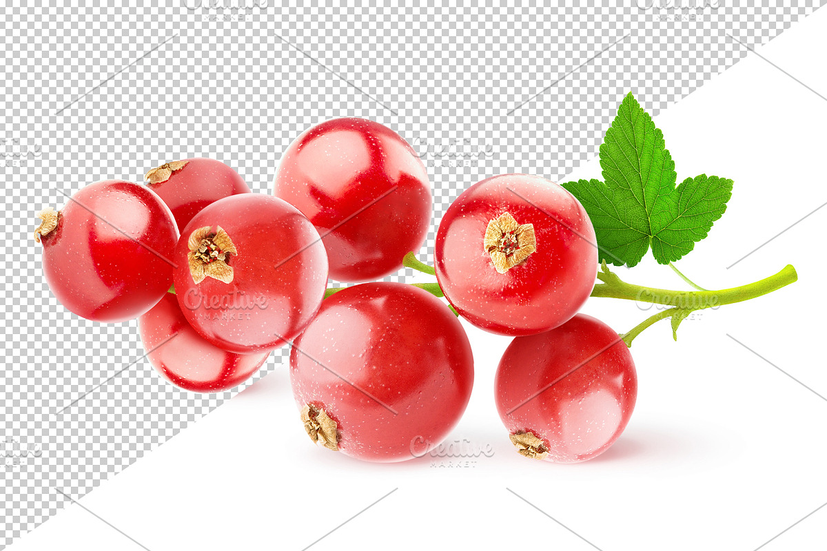 Bunch of red currants preview 2