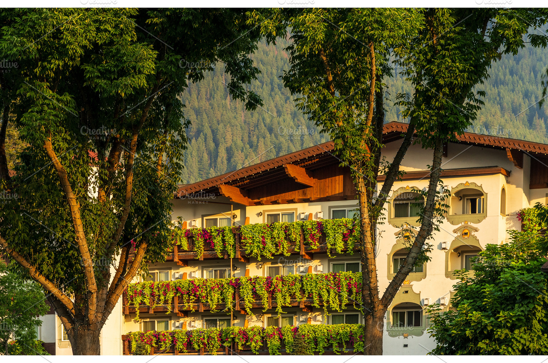 Flower strewn balconies of a hotel, an Architecture Photo by Backyard Stock