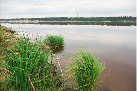 Beautiful Northern Dvina river in, a Nature Photo by Northern Life