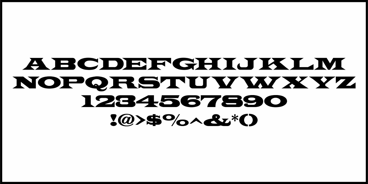 West Fork JNL, a Serif Font by Jeff Levine Fonts (Photo 3 of 5)