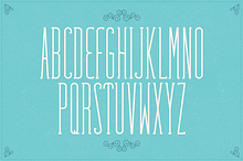 Fabuleuse Slab Font + Free Bonus