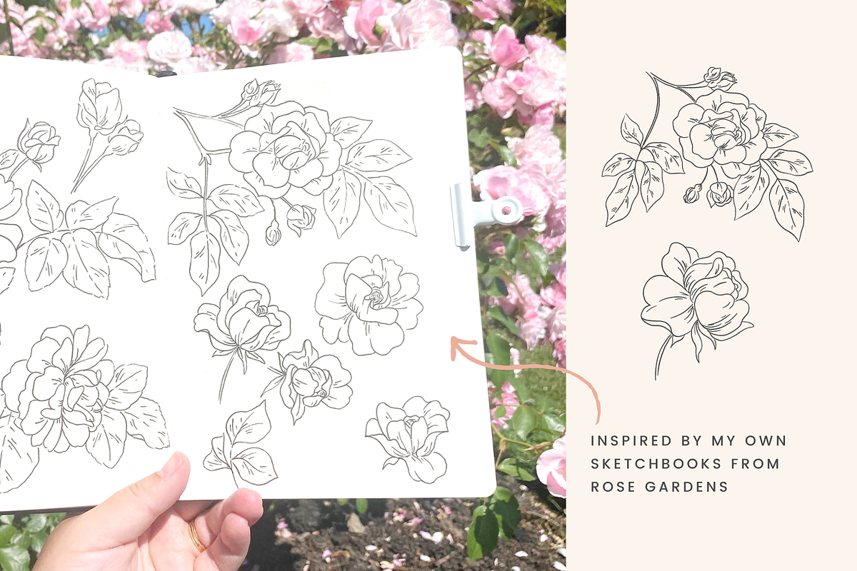 Rose Garden Vector Illustrations, an Illustration by Emma Webb Studio (Photo 3 of 8)