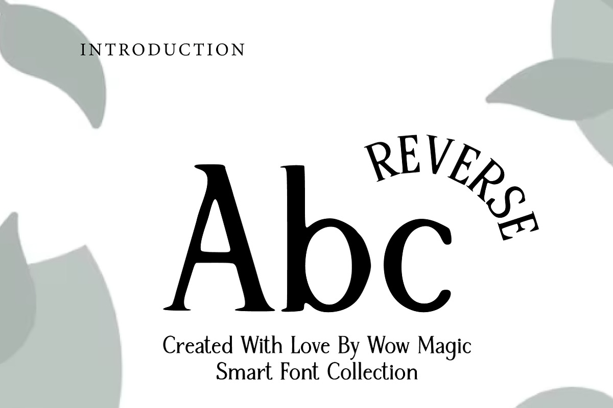 Reverse Contrast, a Serif Font by Wow Magic (Photo 2 of 3)