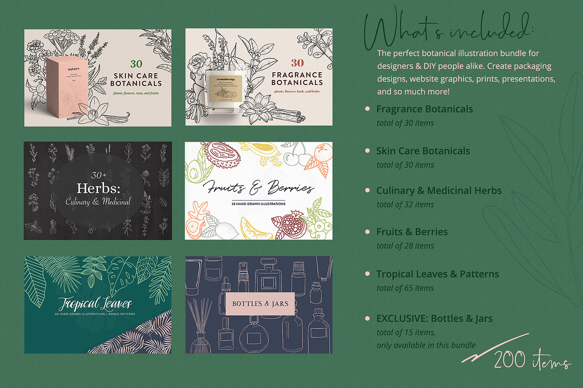 BOTANY BUNDLE - 6in1, a Food Illustration by amber&ink (Photo 2 of 19)