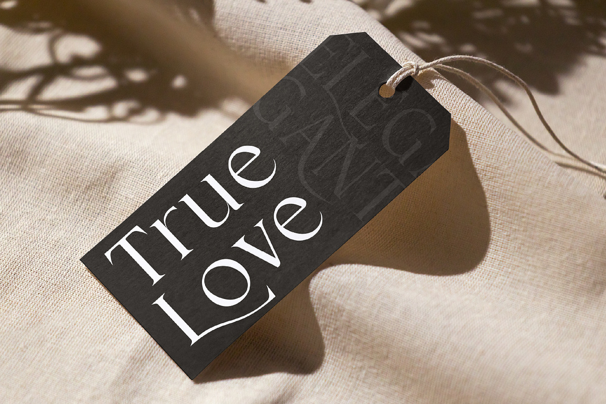 Cardival – Modern Luxury Bold Serif, a Serif Font by Lettertype Studio (Photo 6 of 11)