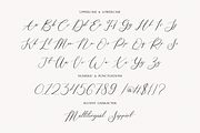 Calligrapher, a Script Font by Essentials Studio (Thumbnail 7 of 8)
