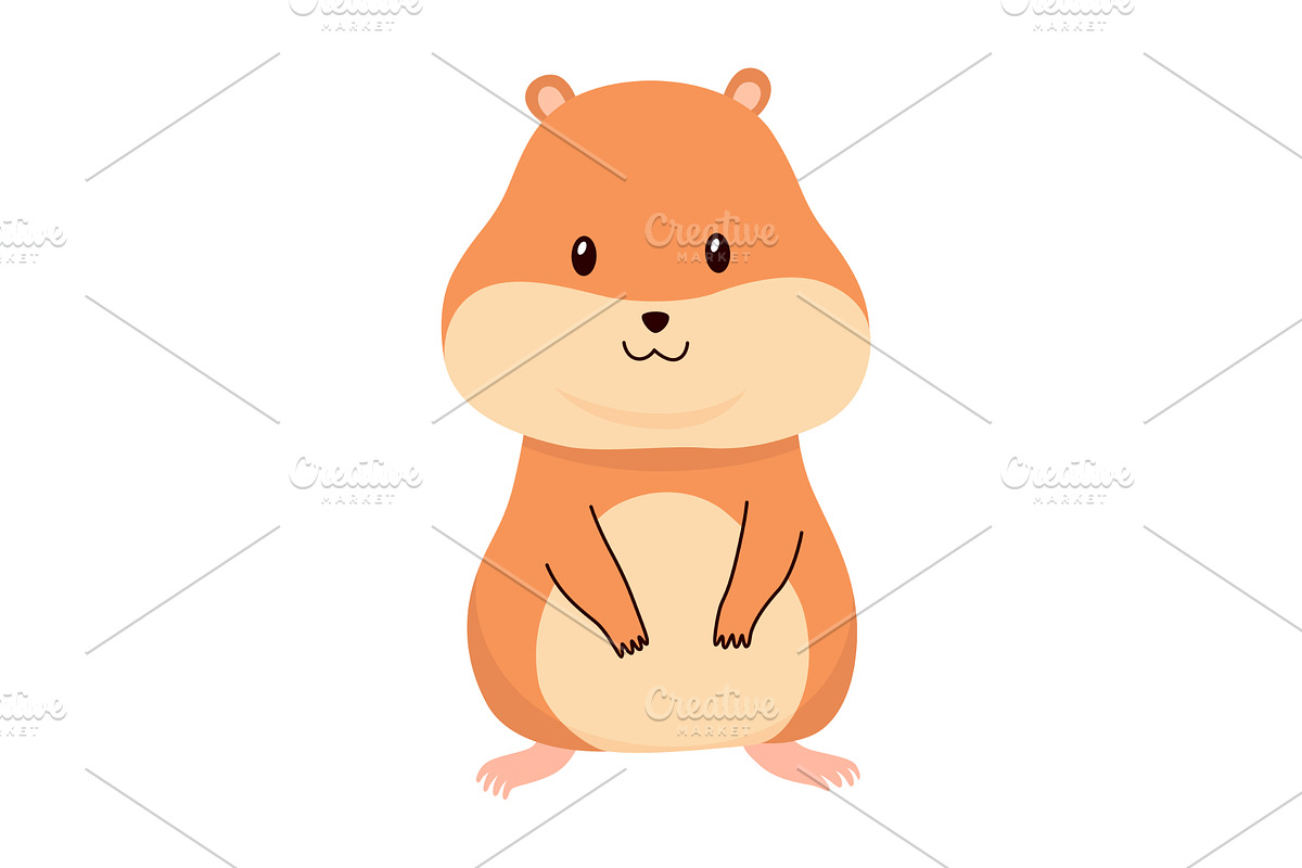 Cartoon hamster. Fluffy domestic pet, an Animal Illustration by the8monkey