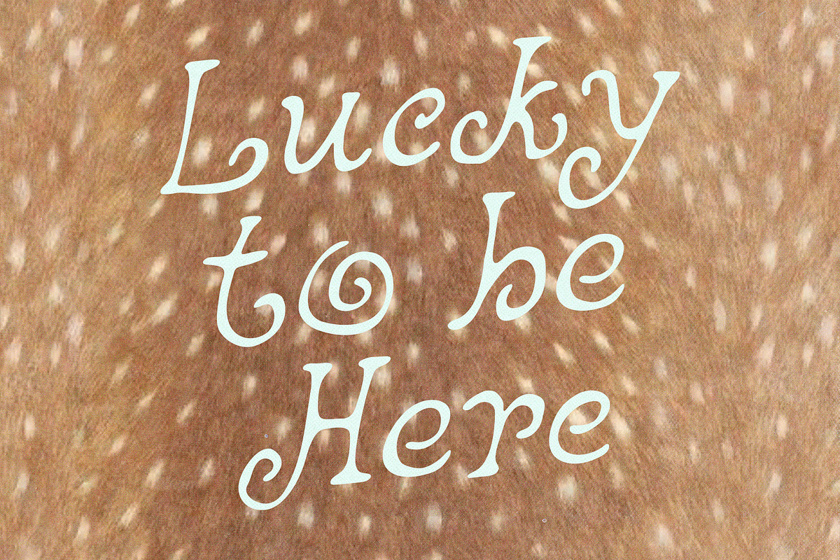 Curly Vintage Chic Handwritten Font, a Handwritten Font by Ayya Studio (Photo 13 of 15)