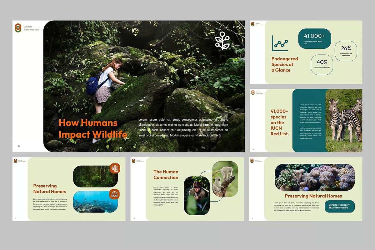 Animal Conservation Keynote Template, a Presentation Template by Fit-tee (Photo 4 of 4)