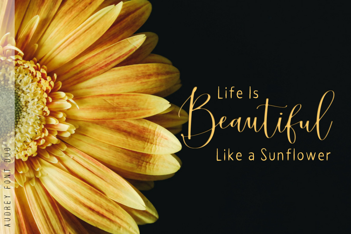 audrey Script Font Duo preview 2