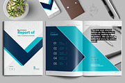 Annual Report Template, a Brochure Template by Elite_Standard (Thumbnail 1 of 14)