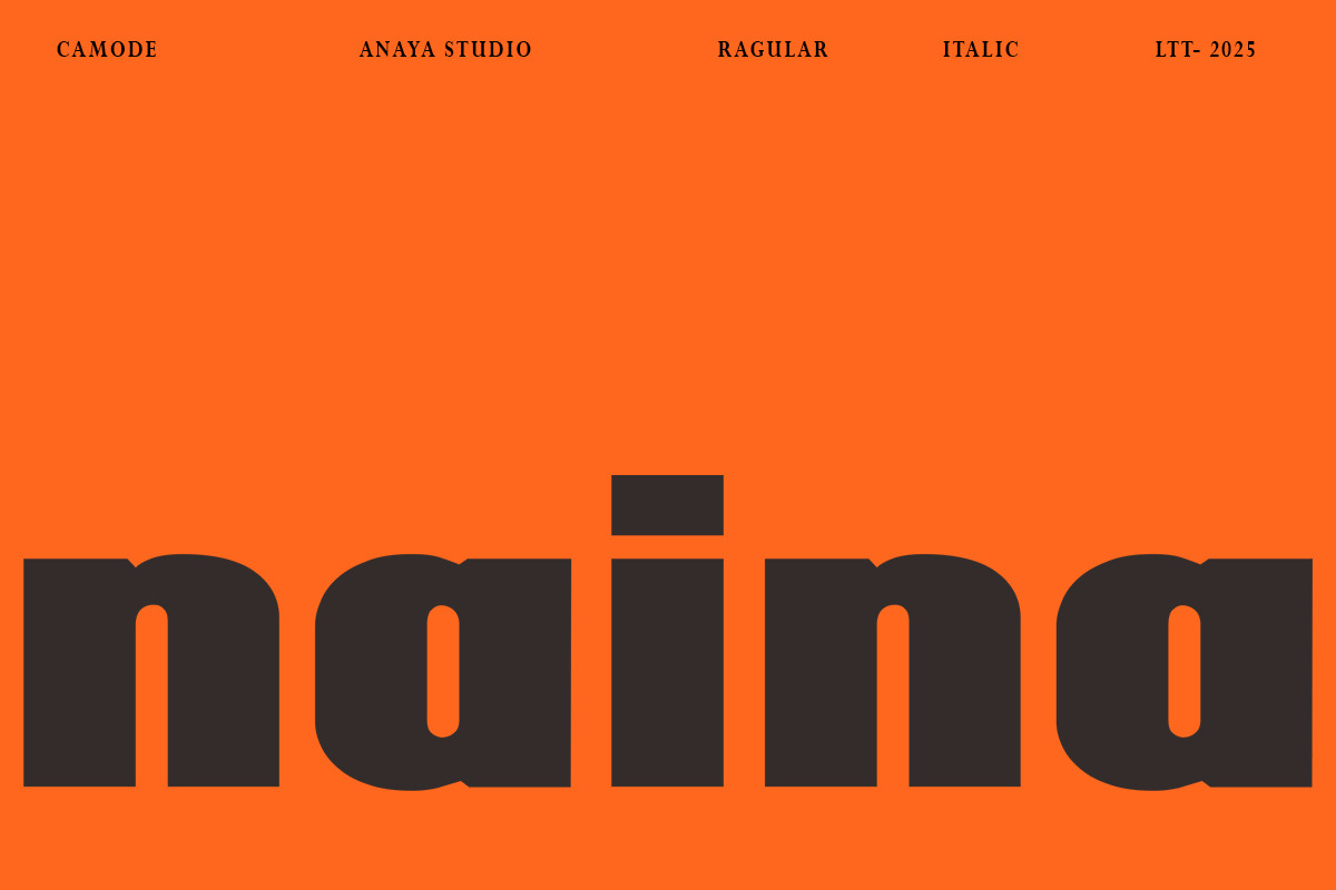 Camode, a Sans Serif Font by AnayaStudio (Photo 3 of 7)
