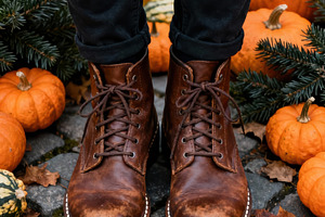 Cozy Autumn Stroll, a Holiday Photo by Virgo Studio