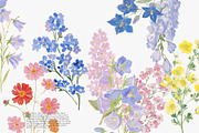 watercolor floral clipart bundle, a Decorative Illustration by Patishop Art (Thumbnail 3 of 9)