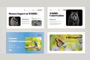 Wildlife Presentation Template, a Presentation Template by MightyDesign (Thumbnail 4 of 8)