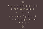 Natasha Elegant Serif, a Serif Font by Luna Shop (Thumbnail 3 of 10)