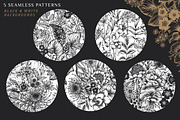 Day and Night. Vector Floral Set, a Pattern Graphic by Molly art (Thumbnail 10 of 14)